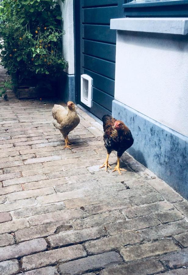 Bed & Breakfast イアーセーケ エクステリア 写真