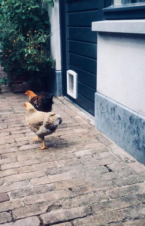 Bed & Breakfast イアーセーケ エクステリア 写真